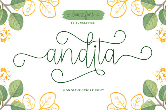 Andita Font: Elegant Script for Craft Projects