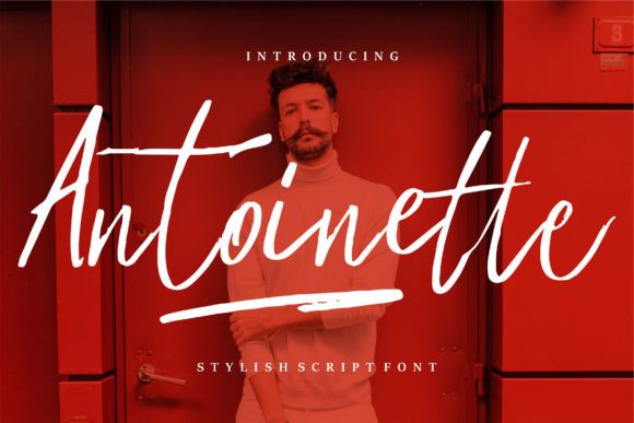 Antoinette: A Romantic Font for Web Design