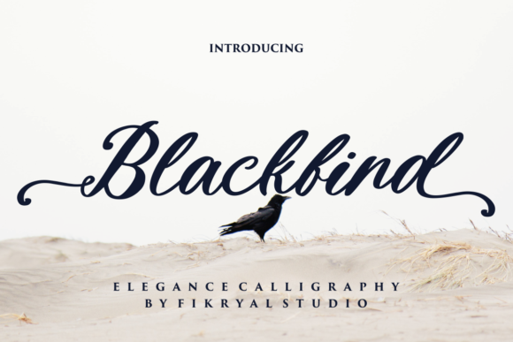 Blackbird: A Bold Script Font for Digital Marketing