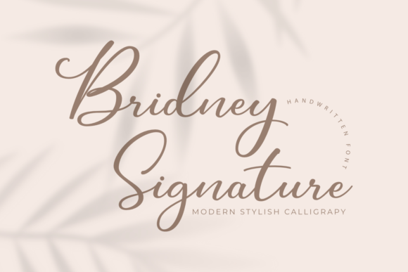 Bridney Signature: A Romantic Font for Digital Marketing