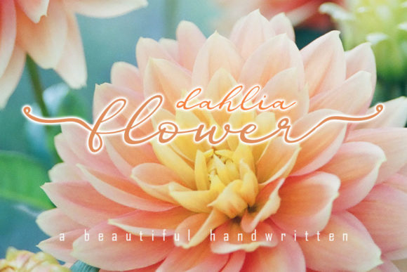Dahlia Flower Font for Creative Projects